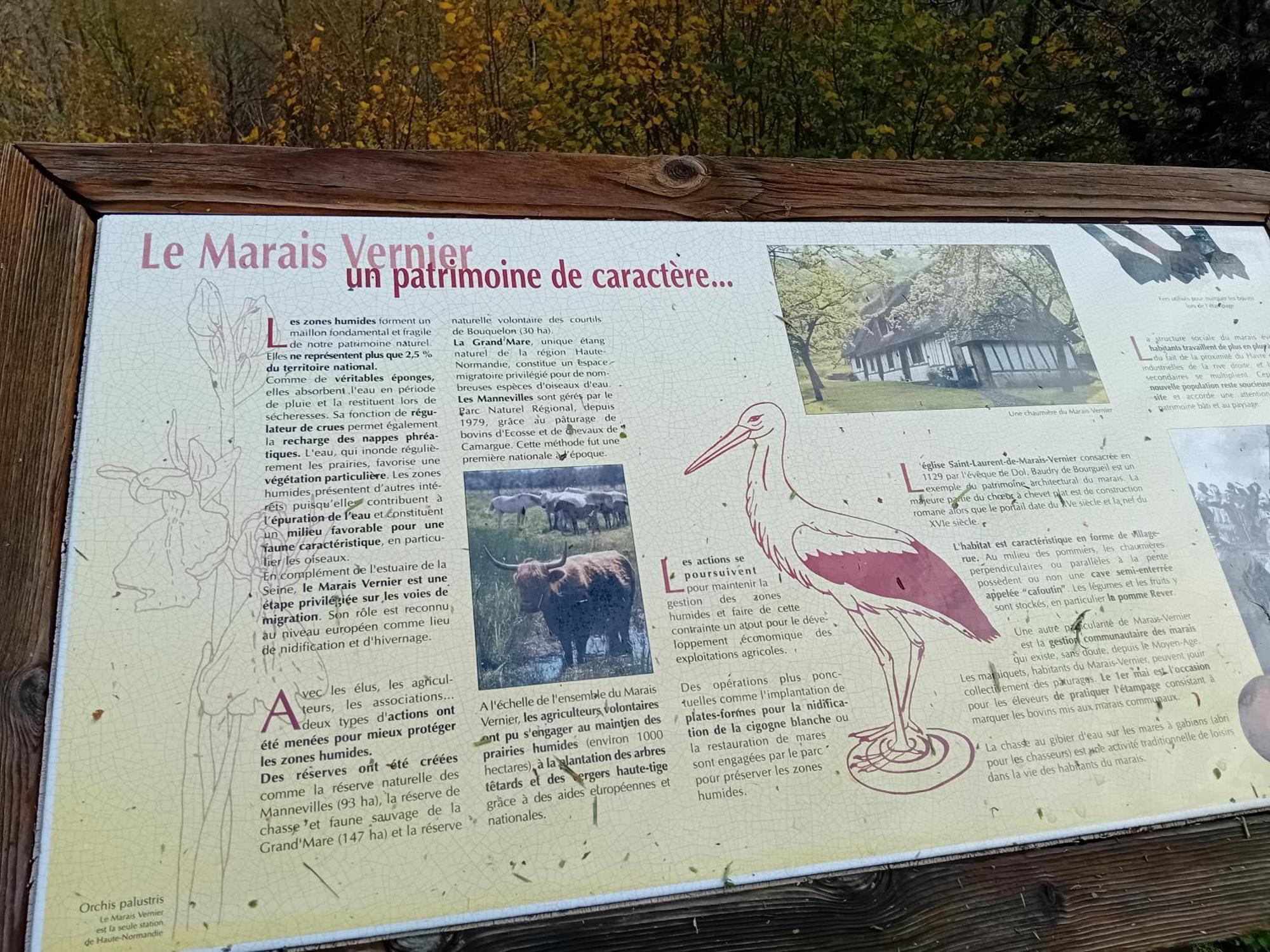 Gite Du Roy Marais-Vernier Exterior foto